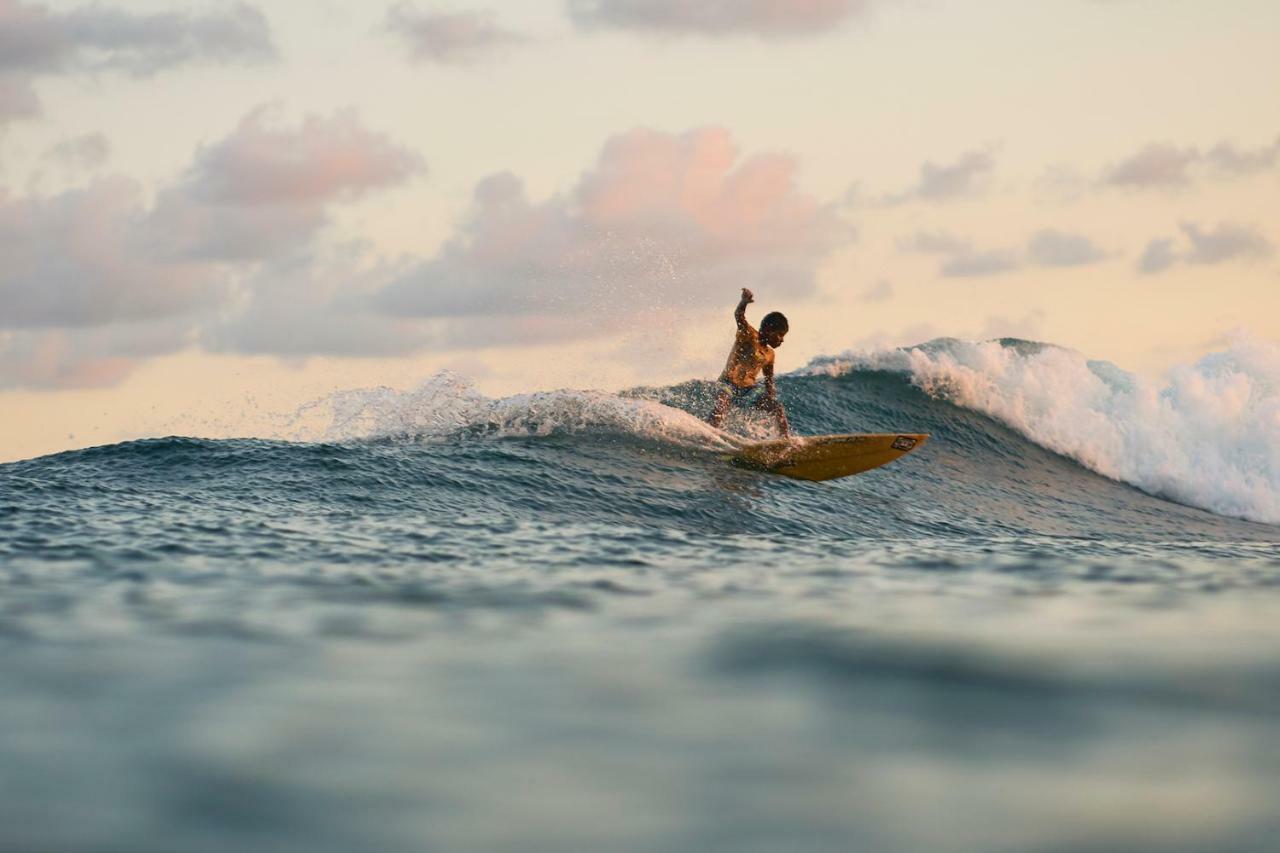 Layback Boutique Surf & Yoga Camp Sri Lanka Hostel Weligama Exterior photo